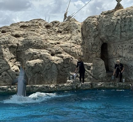 Texas State Aquarium by null