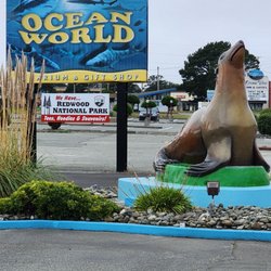 Ocean World - October 2024