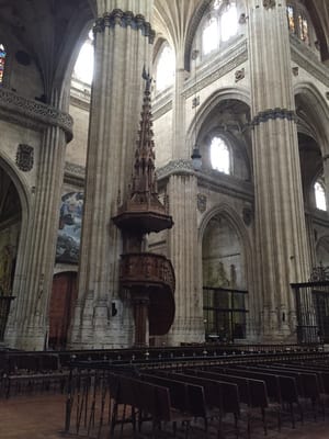 Catedral Vieja de Santa María de la Sede de Salamanca by null