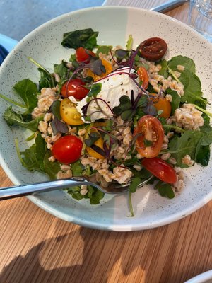 Bluestone Lane Armonk Café by null