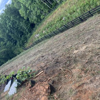 William’s Landscape - Here's a back yard bush cut job we did. - Landscaping Near Me William’s Landscape - Here's a back yard bush cut job we did. - Landscaping Near Me