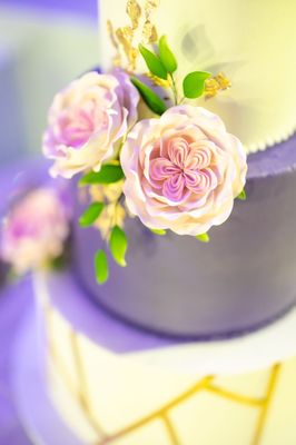 Cake Girl by null