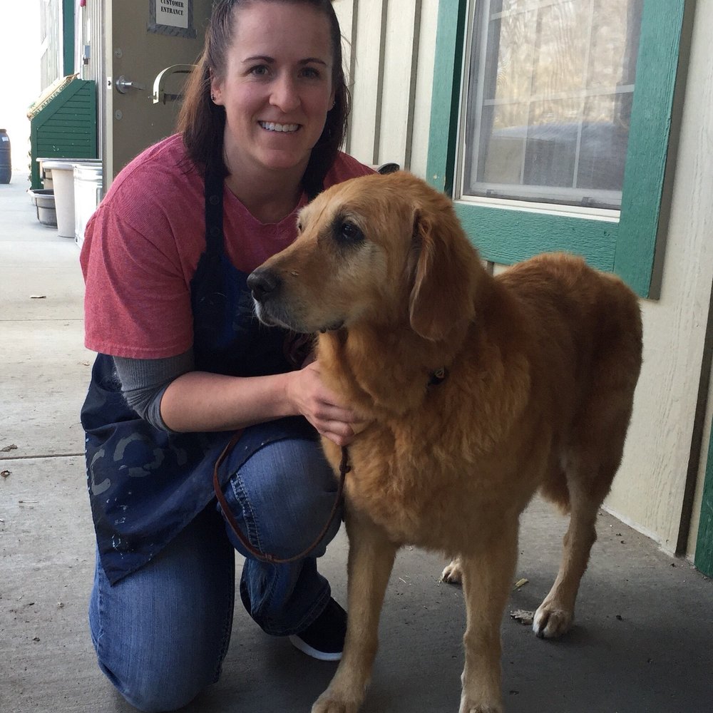 Clippers Dog Grooming - Katie with Sadie on March 1, 2016. - Pet Groomers Near Me - Gardnerville, Nevada Clippers Dog Grooming - Katie with Sadie on March 1, 2016. - Pet Groomers Near Me - Gardnerville, Nevada