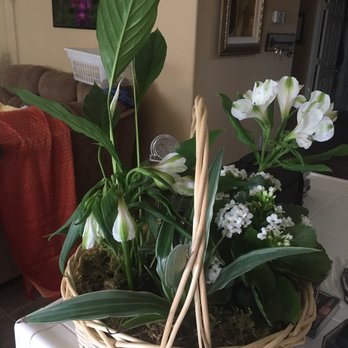 The Flower Shop - Wilted flower in water tube that had no water. - Florists Near Me - Sacramento, California The Flower Shop - Wilted flower in water tube that had no water. - Florists Near Me - Sacramento, California