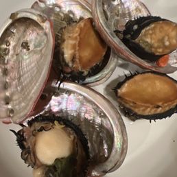 Rotten "live abalone" that stank up the whole house after cook. BEWARE of its seafood Rotten "live abalone" that stank up the whole house after cook. BEWARE of its seafood