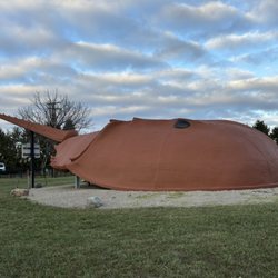 World's Largest Horseshoe Crab