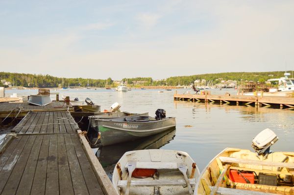 Photo of Beal's Lobster Pier - Southwest Harbor, ME, US.