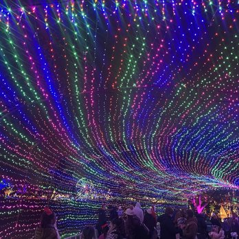 Austin Trail of Lights - Festivals Near Me - Austin, Texas Austin Trail of Lights - Festivals Near Me - Austin, Texas