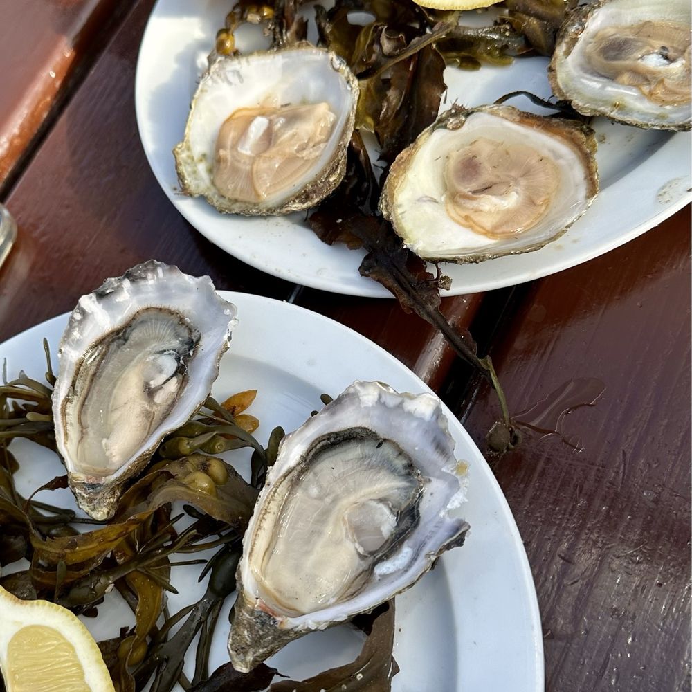 Morans Oyster Cottage - Oysters - Seafood Near Me - Galway, G Morans Oyster Cottage - Oysters - Seafood Near Me - Galway, G