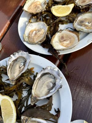 Moran's Oyster Cottage by null