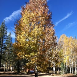 North Rim Country Store - Fall 2011 North Rim