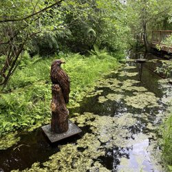 Bonhoeffer Botanical Gardens - Carved wooden eagle