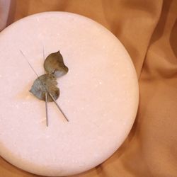 Thistle & Thorne - Acupuncture needles on a eucalyptus leaves on a white stone on a tan background