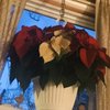 Wendy's Flowers & Garden Center gift card