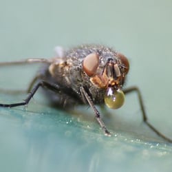 Gibble :: Picture of the Day :: Die Fotocommunity im Norden