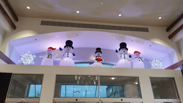 Smith Haven Mall by null