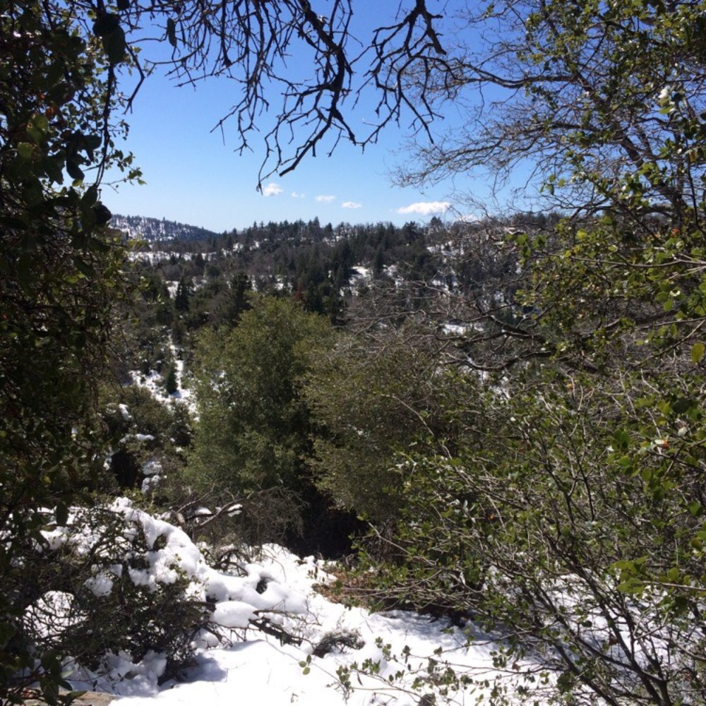 Palomar Mountain-Observatory Trail - Great view - Observatories Near Me