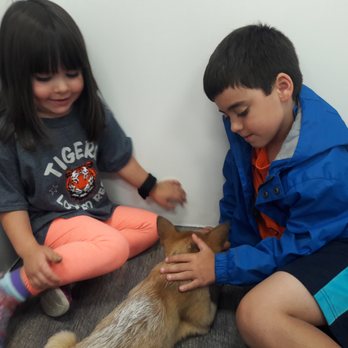 the puppy store vineyard