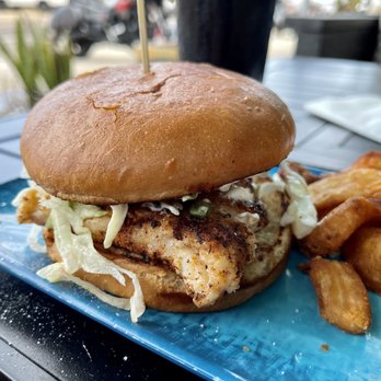 Tortuga's Kitchen & Bar - Todays catch: Grouper sandwich (blackened) - Bars Near Me - Flagler Beach, Florida Tortuga's Kitchen & Bar - Todays catch: Grouper sandwich (blackened) - Bars Near Me - Flagler Beach, Florida