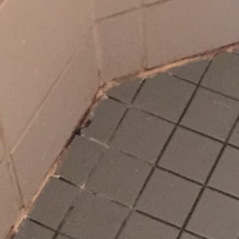 Sooke Harbour House - Moldy shower. Mind you this is a $400 a night room!!! - Hotels Near Me - Sooke, British Columbia