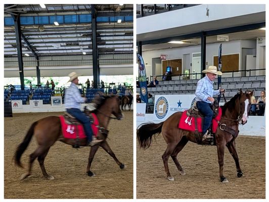 Kentucky Horse Park by null