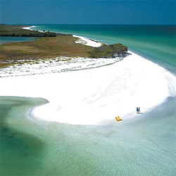 Salt Shaker Charters