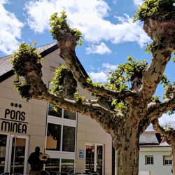 Pons Minea - Lovely place