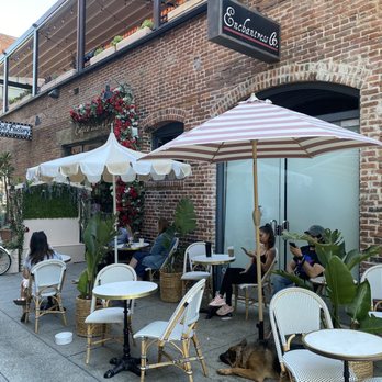 Coffee and Plants - Outside seating - Coffee & Tea Near Me - Pasadena, California