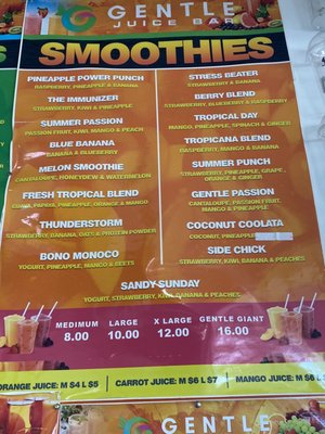 Gentle Juice Bar Photos