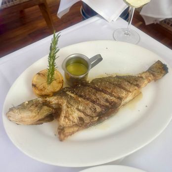 Skinos - Branzino - Greek Near Me - New York, New York Skinos - Branzino - Greek Near Me - New York, New York