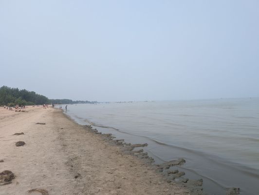 Bay City State Park by null