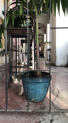 leaf & co. cafe by null