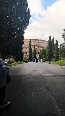 TopBike Rental & Tours by null