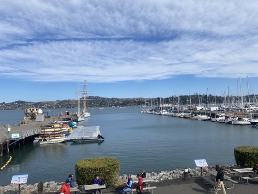 Bay Model Visitor Center by null