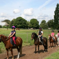 Barrow Hall Stables