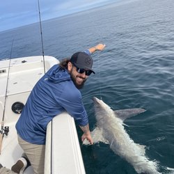 Last Call Fishing Charters - Shark