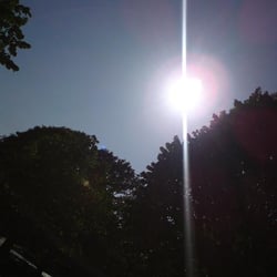 Queen's Park