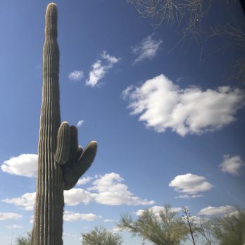 The Scenic Road RV Park - RV Parks Near Me - Quartzsite, Arizona The Scenic Road RV Park - RV Parks Near Me - Quartzsite, Arizona