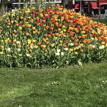Amsterdam - Mixed colors - Public Services & Government Near Me - Amsterdam, New Hampshire