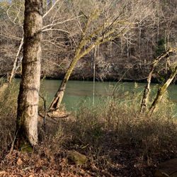 Cahaba River national wildlife refuge