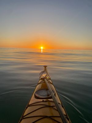 Happy Paddler Kayak Tours & EcoVentures by null