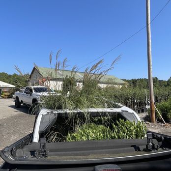 Elrod Garden Center - a pickup truck loaded with plants - Nurseries & Gardening Near Me - Dallas, Georgia Elrod Garden Center - a pickup truck loaded with plants - Nurseries & Gardening Near Me - Dallas, Georgia