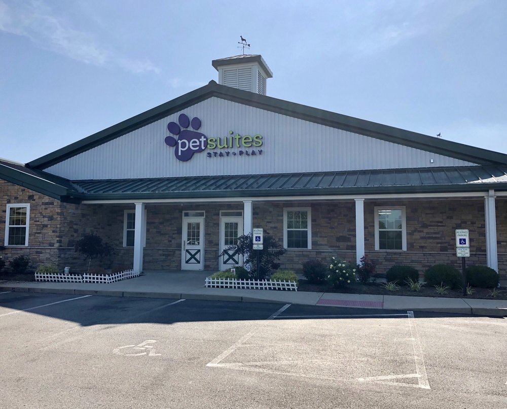 PETSUITES DAYTON Updated September 2024 13 Photos & 30 Reviews