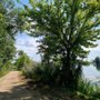 Photo of Long de la Saone Auxonne