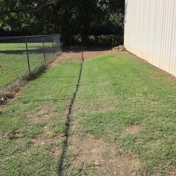Iron Roots Tree Solutions - After - Tree Services Near Me - Bentonville, Arkansas Iron Roots Tree Solutions - After - Tree Services Near Me - Bentonville, Arkansas