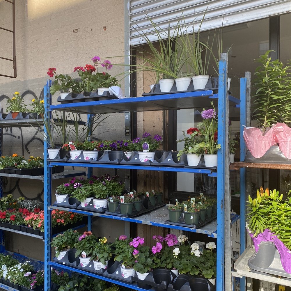 a variety of potted plants a variety of potted plants