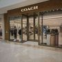 Photo of Coach