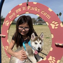 Murrieta Dog Park - Our bundy boy getting his energy out at the best kept secret in Murrieta! Love it here!