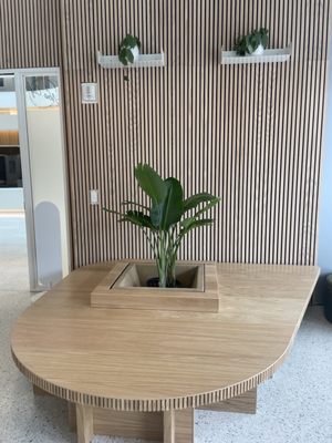 Noe Cafe - Dog Patch by null