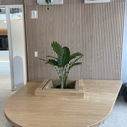 Noe Cafe - Cute seating and plants